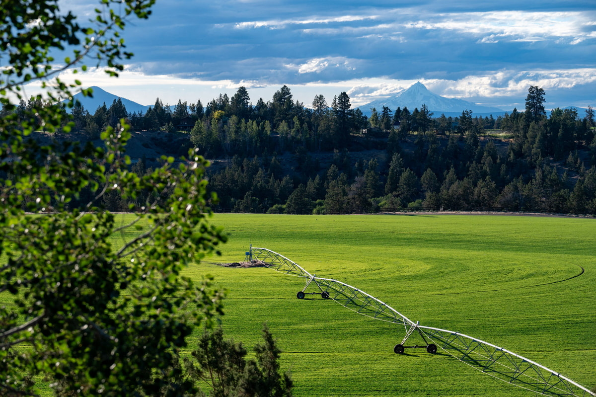 bend-oregon-real-estate-photography-redmond-jackson-Neighborhood302